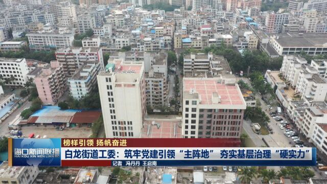 【榜样引领 扬帆奋进】白龙街道工委:筑牢党建引领“主阵地” 夯实基层治理“硬实力”