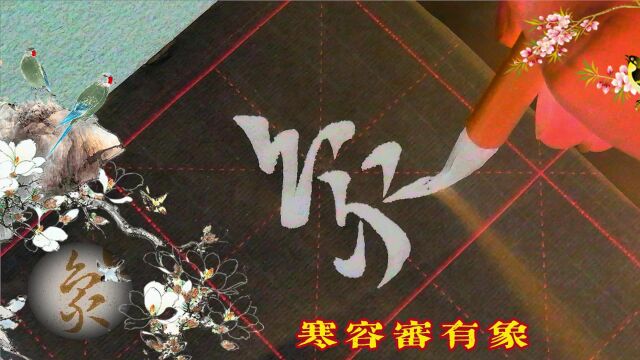 研习王羲之《草诀百韵歌》寒容审有象,宪害寘(zhi)相牵.