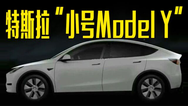 特斯拉“小号Model Y”曝光!新平台打造,卖17万能接受吗?