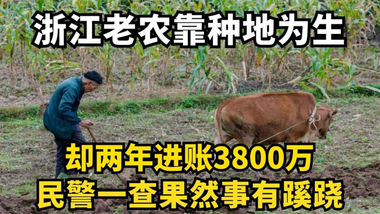 浙江老农靠种地为生,却两年进账3800万,民警一查果然事有蹊跷