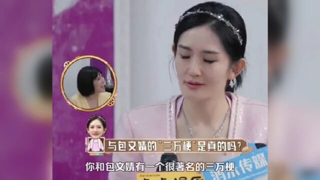 谢娜被骂这么多年终于澄清,谢娜:借包文婧三万澳币已经还清