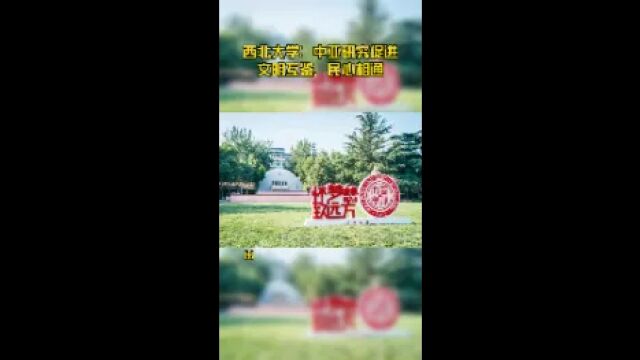 西北大学:中亚研究促进文明互鉴、民心相通