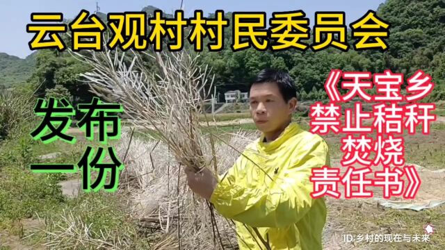 湖北省十堰市竹溪县天宝乡云台观村村民委员会发布一份《天宝乡禁止秸秆焚烧责任书》