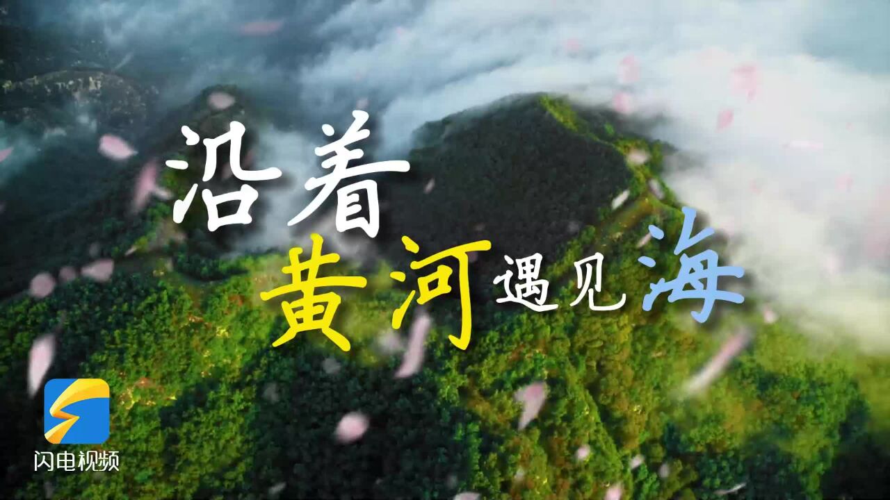 沿着黄河遇见海|用“我的未来式”打开山东沿黄九市 一起奔向大海