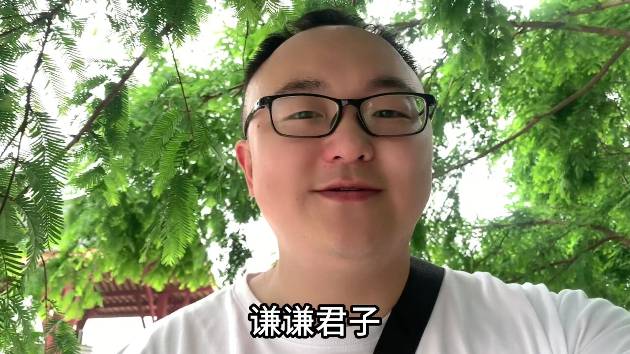 泸州有一片水杉林,这个可是植物界的活化石,比人类还久远