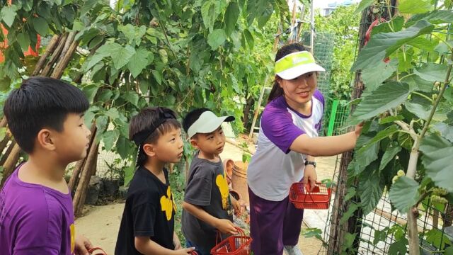 周末带宝宝到焦作大沙河畔桑葚园采摘游,开心快乐更甜蜜