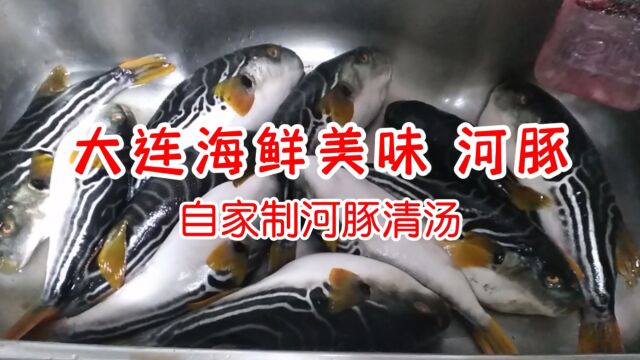 大连海鲜美味 河豚 自家制河豚清汤