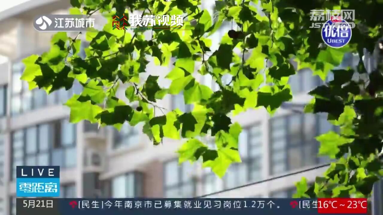 江苏全面入夏 本周气温冲35℃