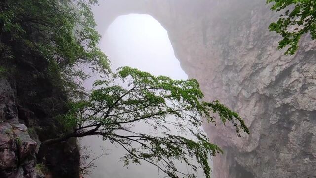 出行壶关鹅屋乡天生桥,雨大雾浓,错失太行奇景