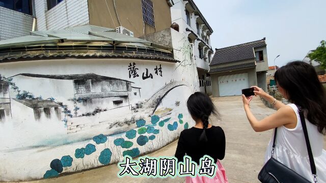 苏州太湖的阴山岛, 村口有一棵1000年香 樟树,岛上特产碧螺春