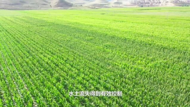 绿水青山就是金山银山——环县全面加强三北防护林建设