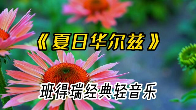 班得瑞的轻音乐《夏日华尔兹》,美丽夏日的圆舞曲