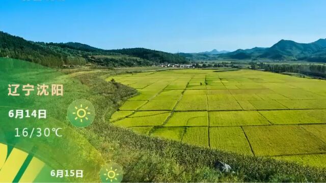 6月14日及15日,各地城市天气预报