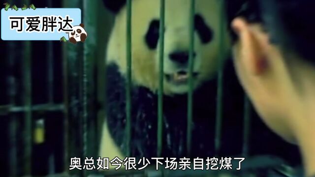 奥氏矿业集团总裁发家史2