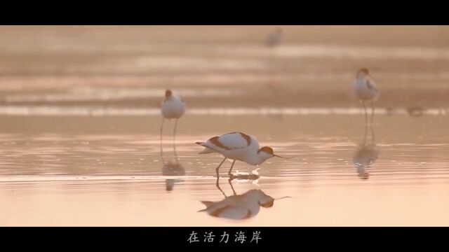 人生如此美好,跟爱的人一起来旅居吧……雅居乐地产释放l你的第二人生