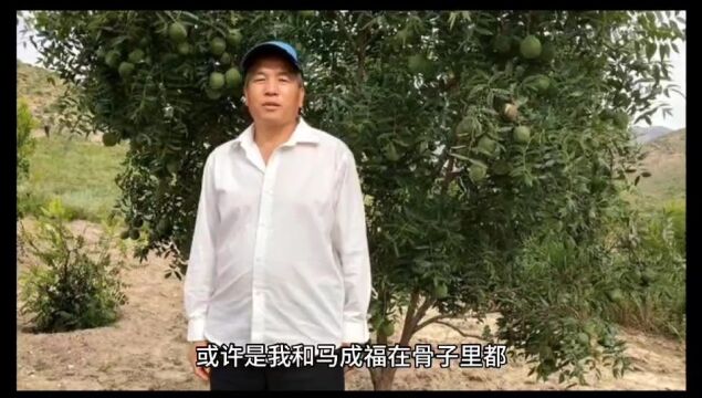 解密文冠果杂交之父马成福