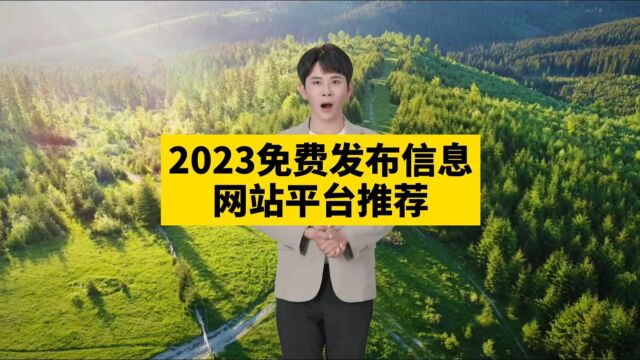 2023年最受欢迎的信息发布网站平台