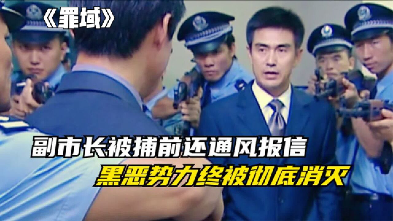 副市长被捕前还给人通风报信,黑恶势力最终还是被彻底消灭