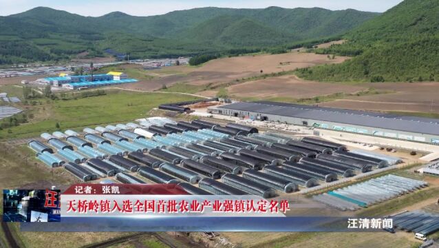 天桥岭镇入选全国首批农业产业强镇认定名单