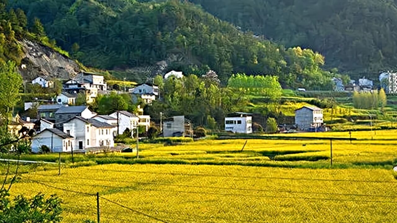 四川规范农村宅基地范围及面积标准