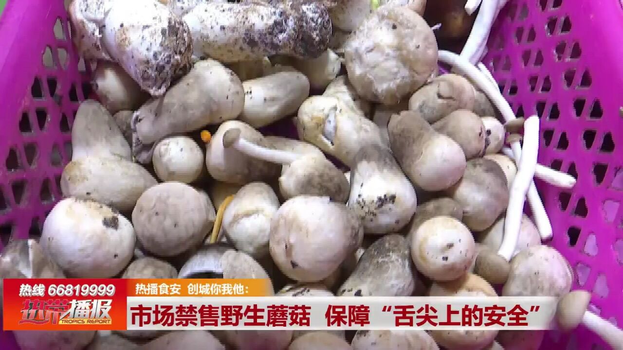 热播食安 创城你我他: 市场禁售野生蘑菇 保障“舌尖上的安全”