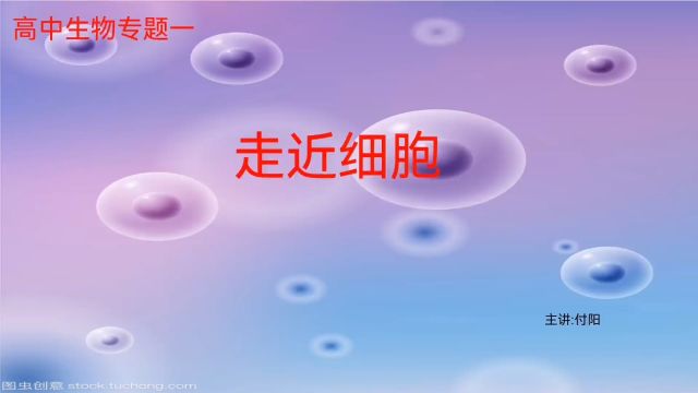 高中生物必修一细胞学说