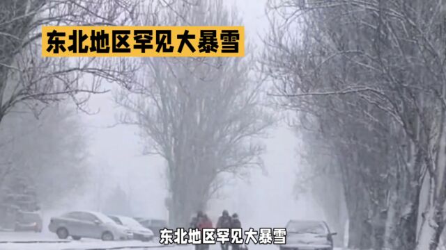 东北地区罕见大暴雪