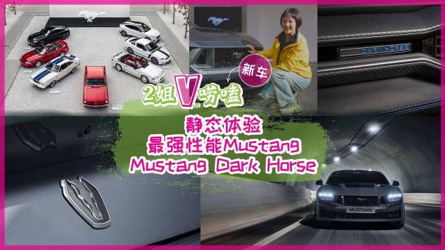 Mustang Dark Horse,可以合法上路的Mustang性能王者