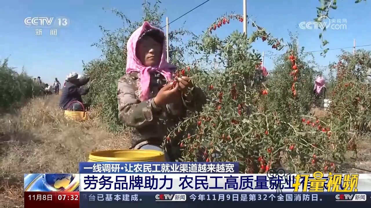 劳务品牌助力!农民工高质量就业有底气