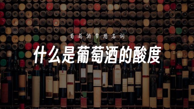 什么是葡萄酒的酸度