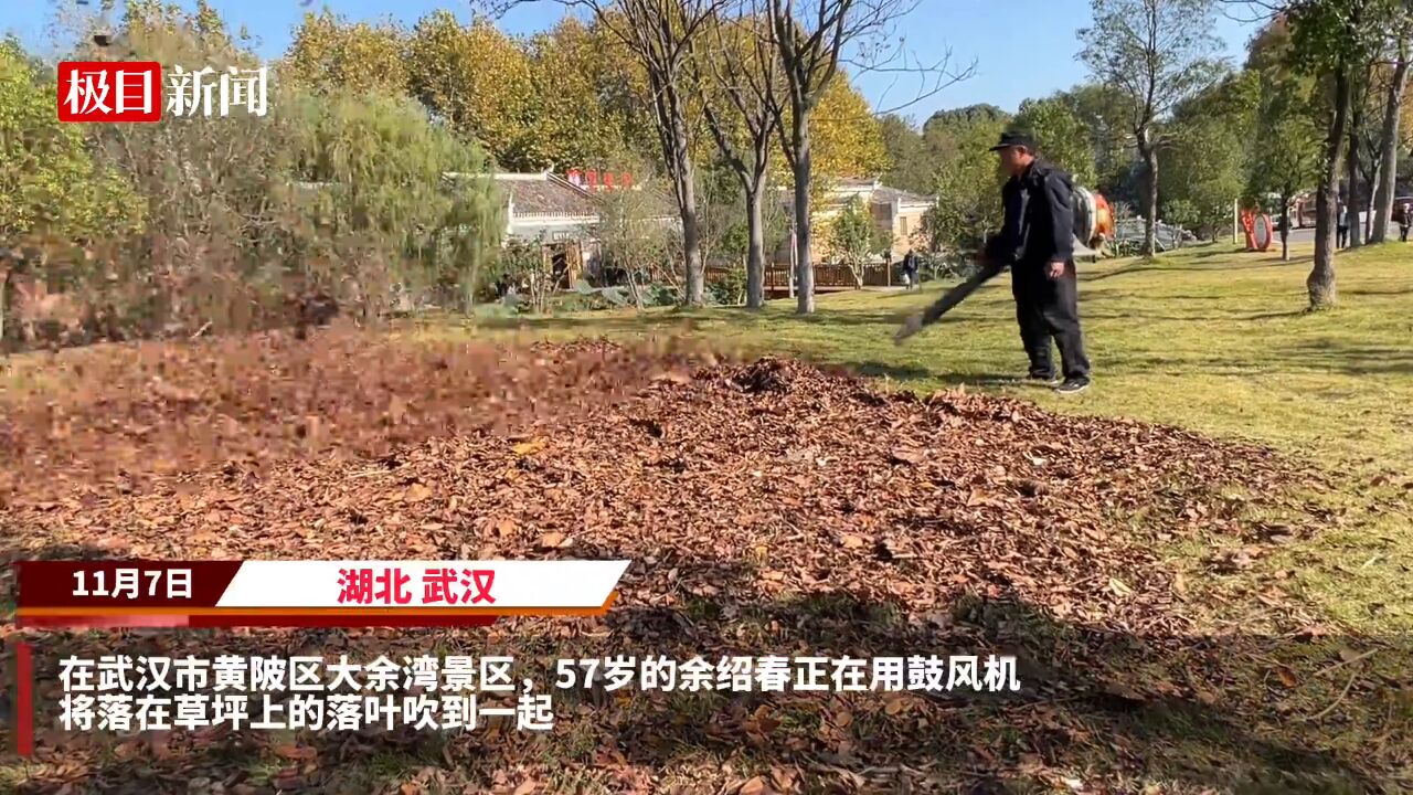 【视频】秋风吹,落叶忙,“清扫神器”助力帮大忙