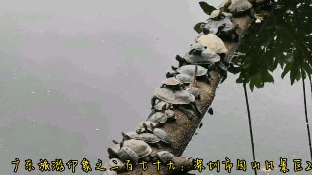 广东旅游印象之二百七十九:深圳市园山风景区2