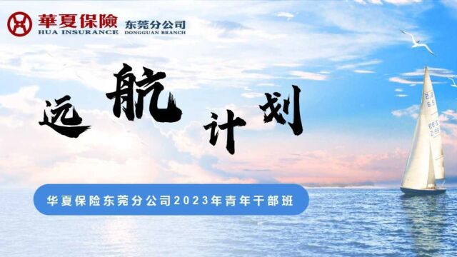 华夏保险东莞分公司2023年青年干部班小组建设