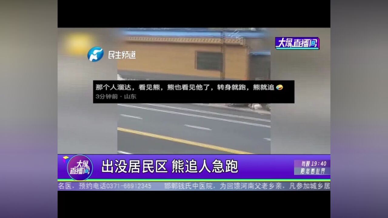 出没居民区,熊追人急跑