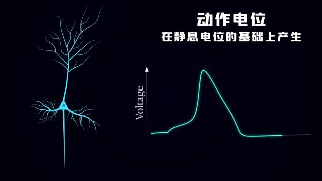 大脑神经元到底有多厉害,深度神经网络