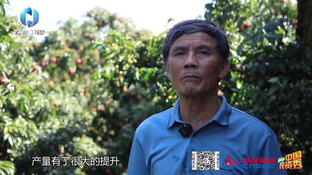 中海化学党建示范田:中海化学 粮安中国万里行——与“富岛”携手助农走上致富路