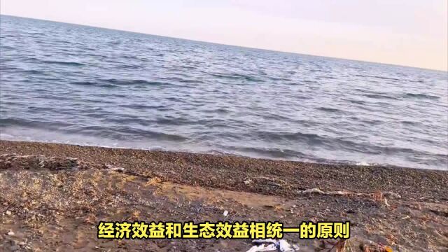 壶口瀑布“围墙挡景”一建一拆,比青海湖“铁丝围湖”高出一筹