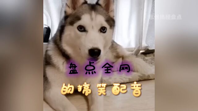 盘点全网的搞笑配音