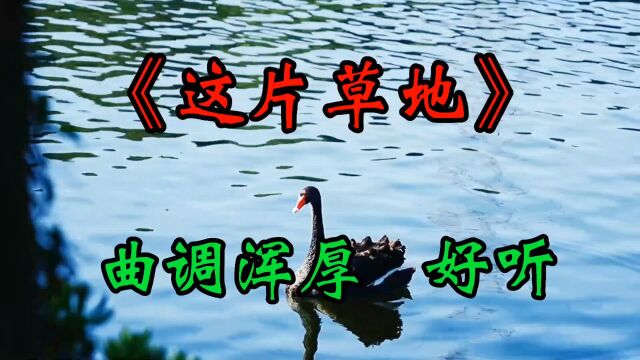 《这片草原》曲调舒缓 ,悠远 ,清新, 优美,声音浑厚好听,太好听了