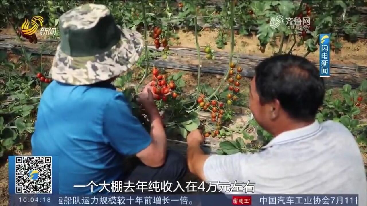 沂水泉庄镇:农文旅联合发展,合作社专业指导,带动农民增收