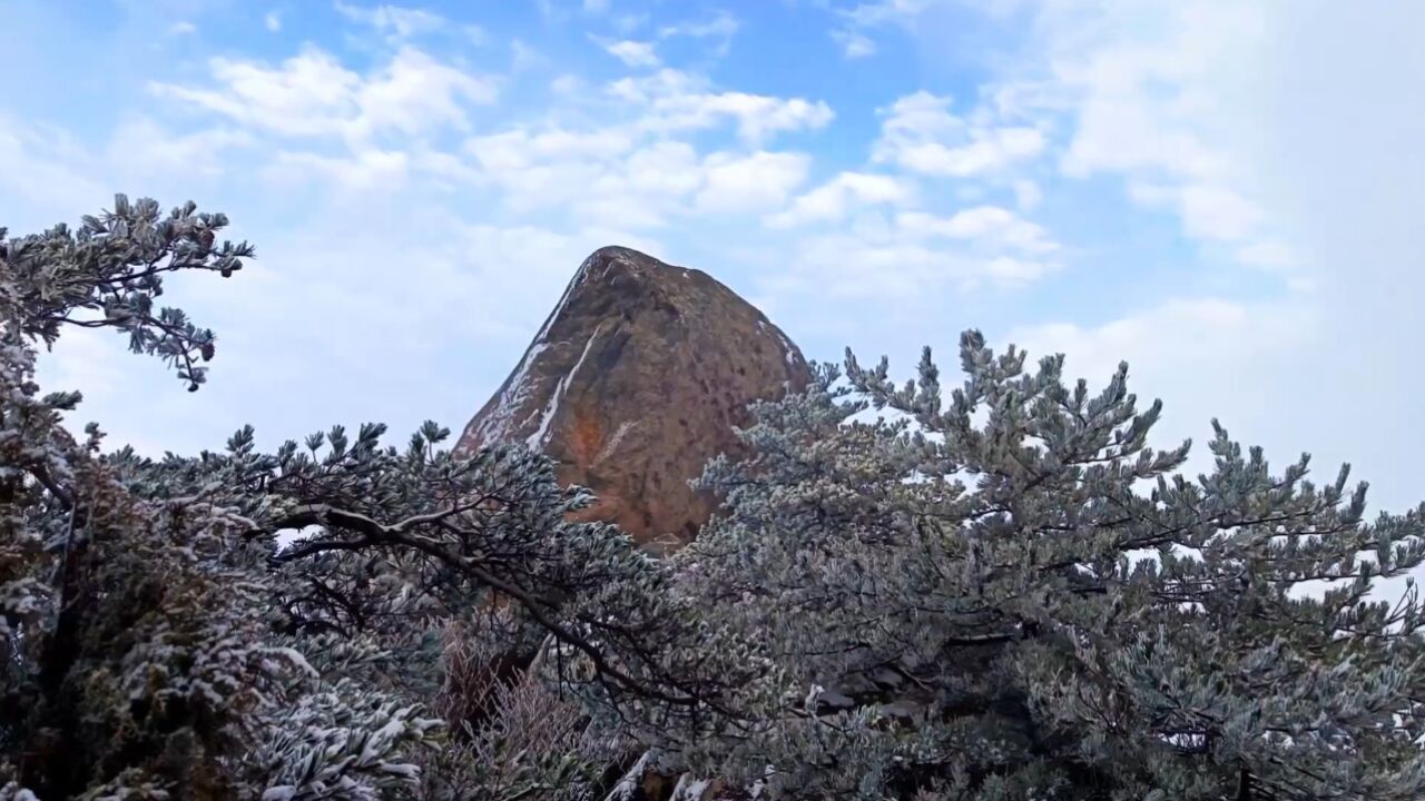 绝美雾凇大片上线!三门峡灵宝开启“仙境模式”