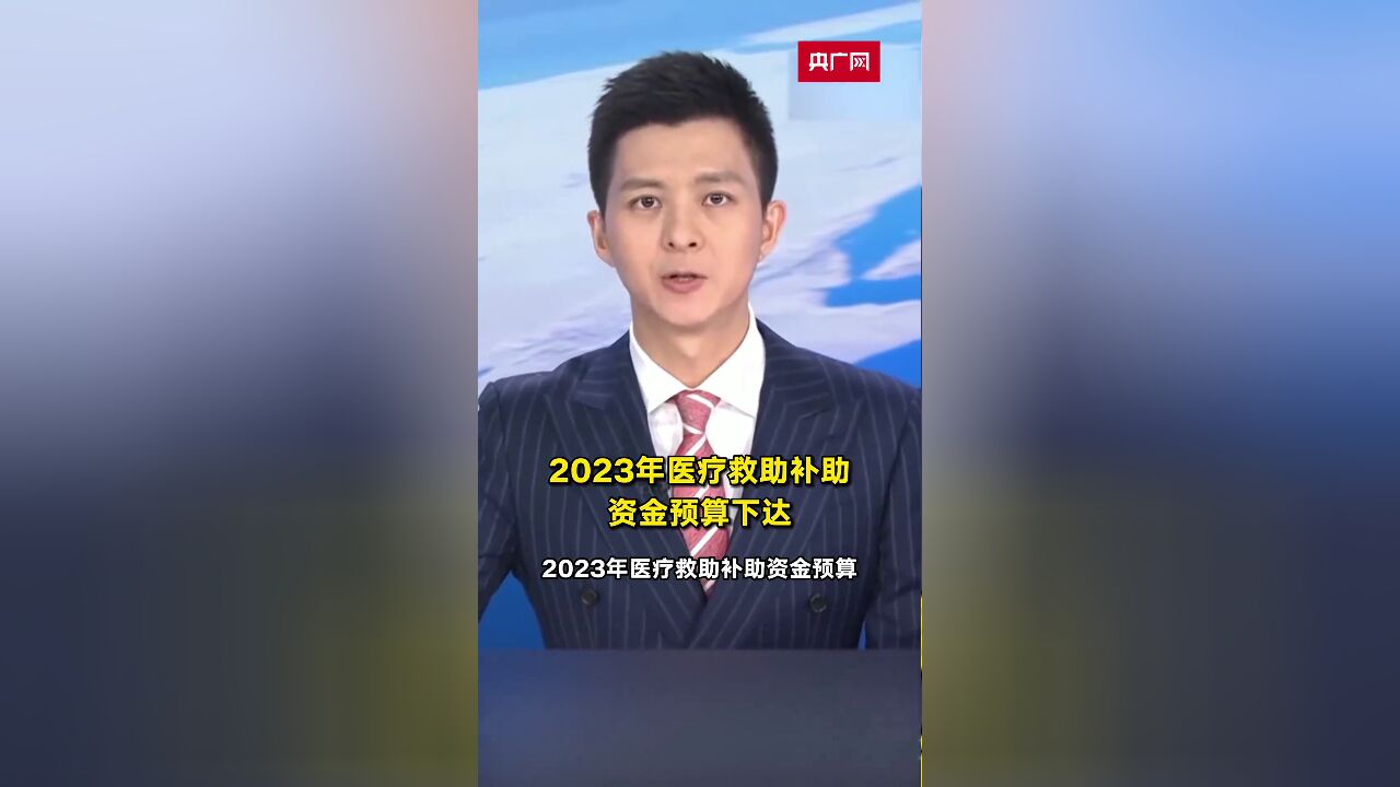 2023年医疗救助补助资金预算下达.