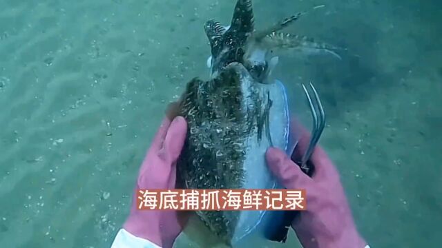 渔民海底捕鱼日常生活实拍#渔民日常 #出海捕鱼