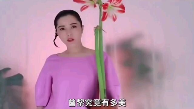 黎姿究竟有多美?