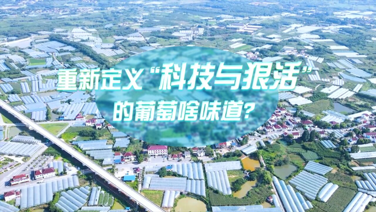 中国式现代化ⷩ’年的回答|重新定义“科技与狠活”的葡萄啥味道?