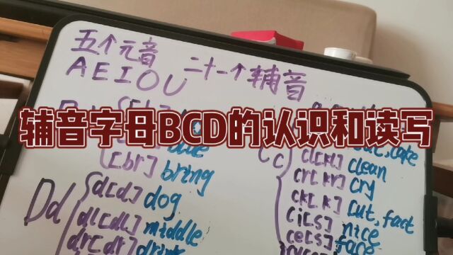 第三课 辅音字母BCD的认识和读写