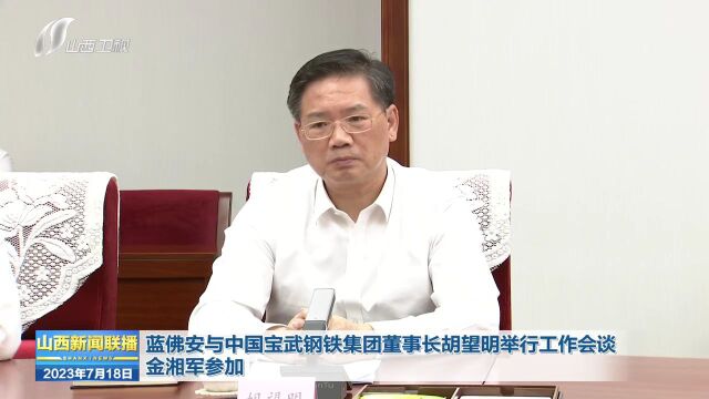 蓝佛安与中国宝武钢铁集团董事长胡望明举行工作会谈 金湘军参加