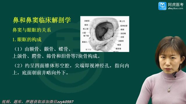 2024年阿虎医考耳鼻喉科学主治医师中级职称考试视频培训笔试押题考点题库精讲 鼻腔鼻窦胚胎学基础、鼻和鼻窦临床解剖学