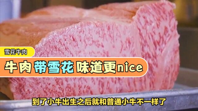 雪花牛肉,牛肉中的“瑰宝”