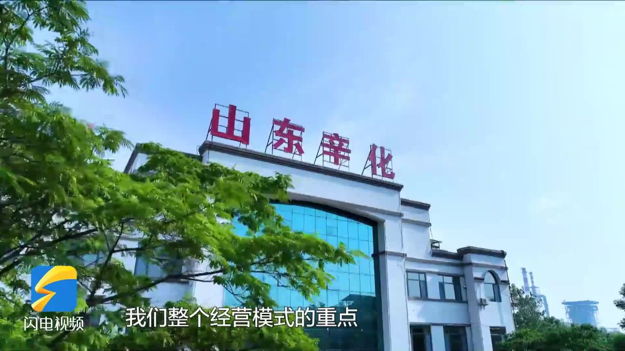 节目预告|《品牌山东》11月19日播出《辛化硅胶:千亿级“宠物经济”的“新蓝海” 》